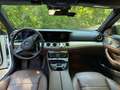 Mercedes-Benz E 350 E 350e PHEV Avantgarde Aut. Avantgarde Weiß - thumbnail 10