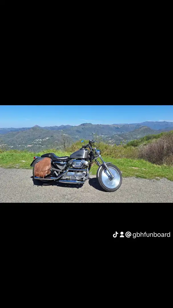 Harley-Davidson Sportster 883 Standard 883 Grigio - 2