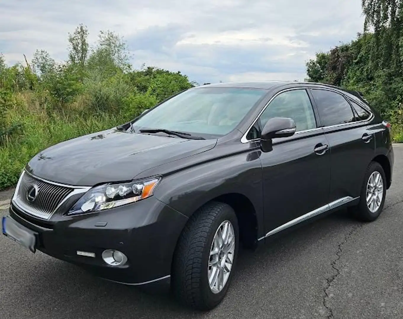 Lexus RX 450h RX 450h (hybrid) Executive Line Kahverengi - 1