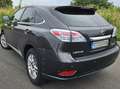 Lexus RX 450h RX 450h (hybrid) Executive Line Kahverengi - thumbnail 8