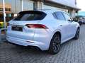 Maserati Grecale GT Hybrid 300 CV Weiß - thumbnail 5