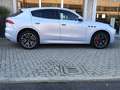 Maserati Grecale GT Hybrid 300 CV Weiß - thumbnail 4