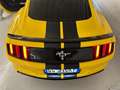 Ford Mustang PAZZESCA - SCARICO ROUSH!!! Yellow - thumbnail 8