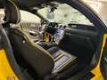 Ford Mustang PAZZESCA - SCARICO ROUSH!!! Žlutá - thumbnail 9