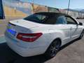 Mercedes-Benz E 220 Classe E - A207 Cabrio Cabrio cdi be Executive Bianco - thumbnail 8