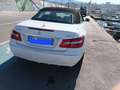 Mercedes-Benz E 220 Classe E - A207 Cabrio Cabrio cdi be Executive Bianco - thumbnail 11