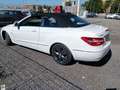 Mercedes-Benz E 220 Classe E - A207 Cabrio Cabrio cdi be Executive Bianco - thumbnail 2