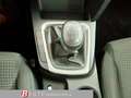 Kia Ceed / cee'd ceed 1,0 T-GDI GPF Titan + P2 Grau - thumbnail 16