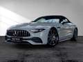 Mercedes-Benz SL 43 AMG Mercedes-AMG SL 43 Premium Burmester 360° Memory Grau - thumbnail 2