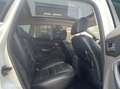 Ford Kuga 2.5 20V Titanium, NAVI, PANODAK, LEDER, CRUISE Wit - thumbnail 11