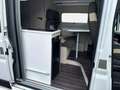 XGO X-VAN HÃNDLERPREIS: 105 MODELL 2024 MARKISE 4 Blanc - thumbnail 12