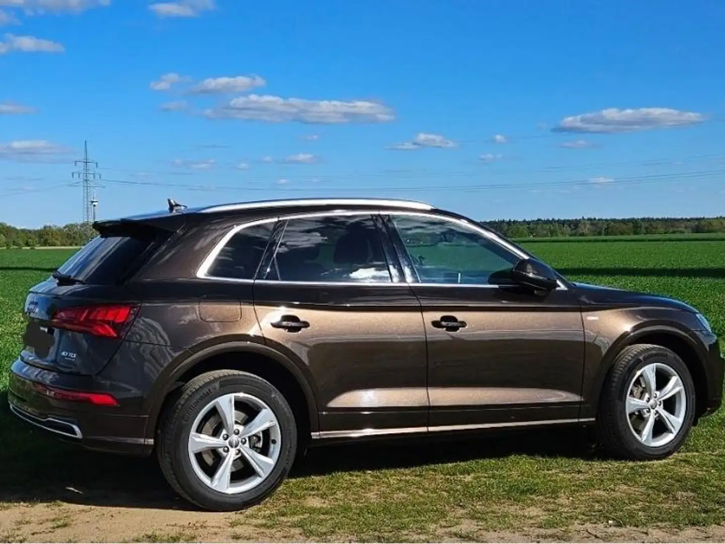 Audi Q5 40 TDI quattro S tronic, S line, PANO, AHK, ACC Braun - 1