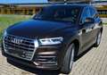 Audi Q5 40 TDI quattro S tronic, S line, PANO, AHK, ACC Braun - thumbnail 2