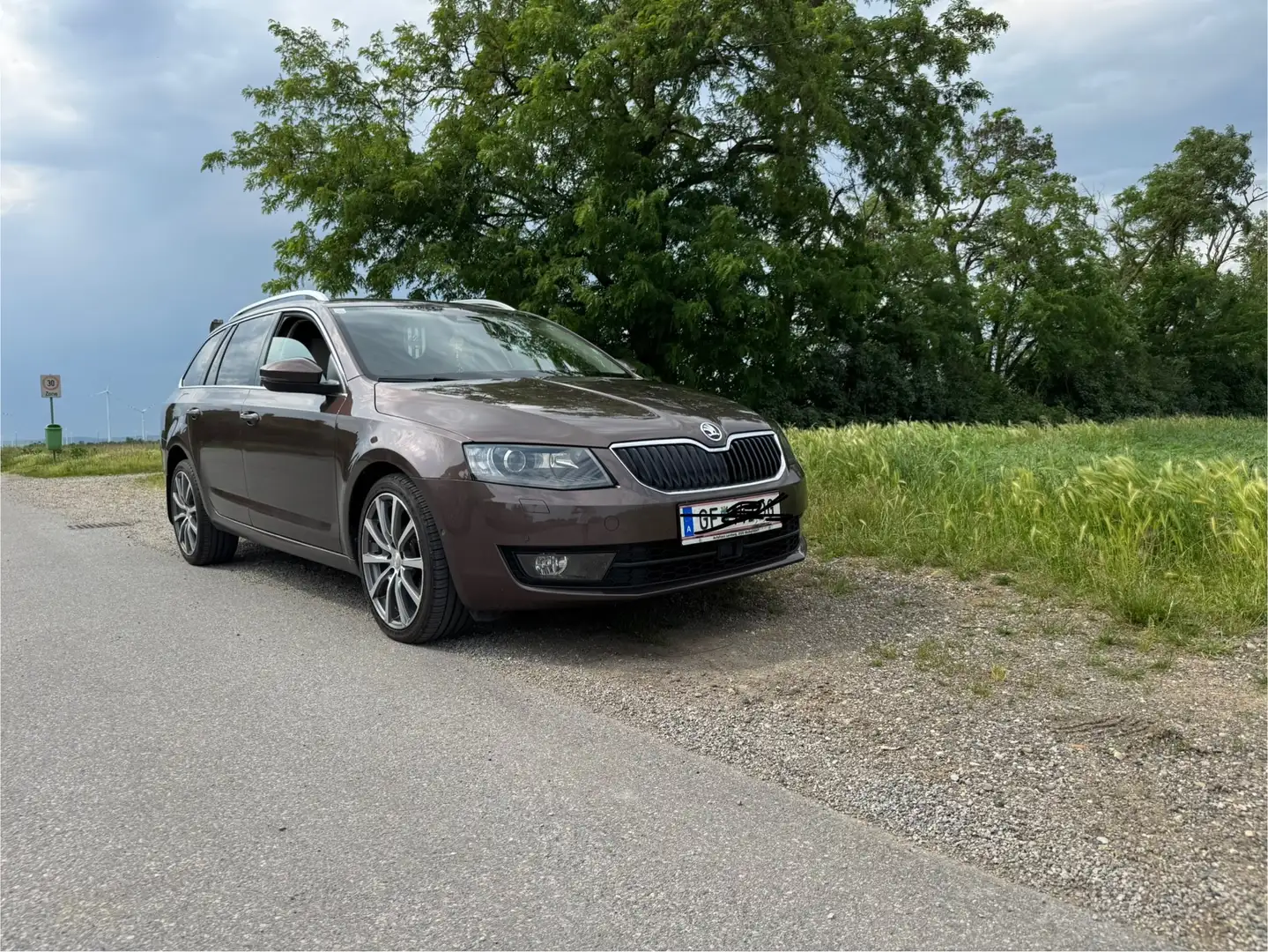Skoda Octavia Octavia Combi 1,6 TDI Style Style Braun - 1