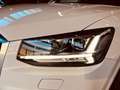 Audi Q2 35 TDI quattro S tronic S line Edition Bianco - thumbnail 12