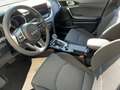 Kia Ceed / cee'd CEED Ultimate Edition 1.5T LED+Kamera+Navi Weiß - thumbnail 9