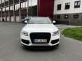 Audi Q5 3.0 TDI quattro S tronic Panorama Carplay AHK Biały - thumbnail 4