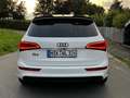 Audi Q5 3.0 TDI quattro S tronic Panorama Carplay AHK Biały - thumbnail 8