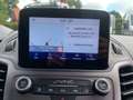 Ford Transit Connect Kasten Trend 1.0 EcoBoost EU6d-T AHK Navi DAB Rück Weiß - thumbnail 14