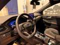Ford Kuga ST-Line X - Directiewagen! Bleu - thumbnail 14