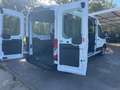 Ford Transit Bus COMBI 9 POSTI  L2H2 Trend 2.0 TDCi 130 Cv AUTO Weiß - thumbnail 5