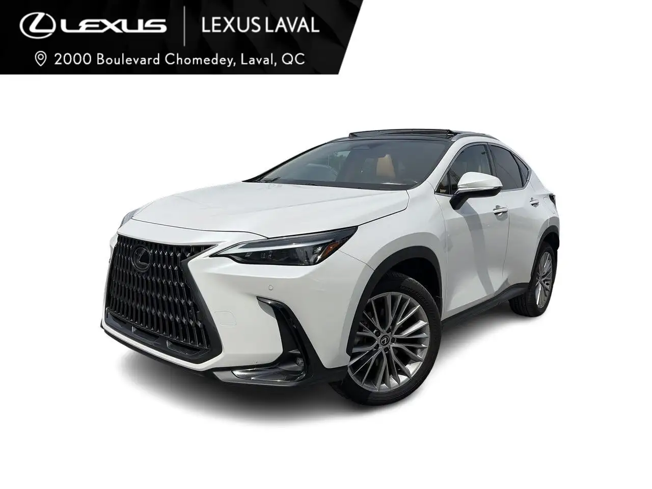2024 Lexus NX fotografie 2024 Lexus NX