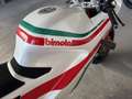 Bimota DB1 Neuzustand Weiß - thumbnail 5