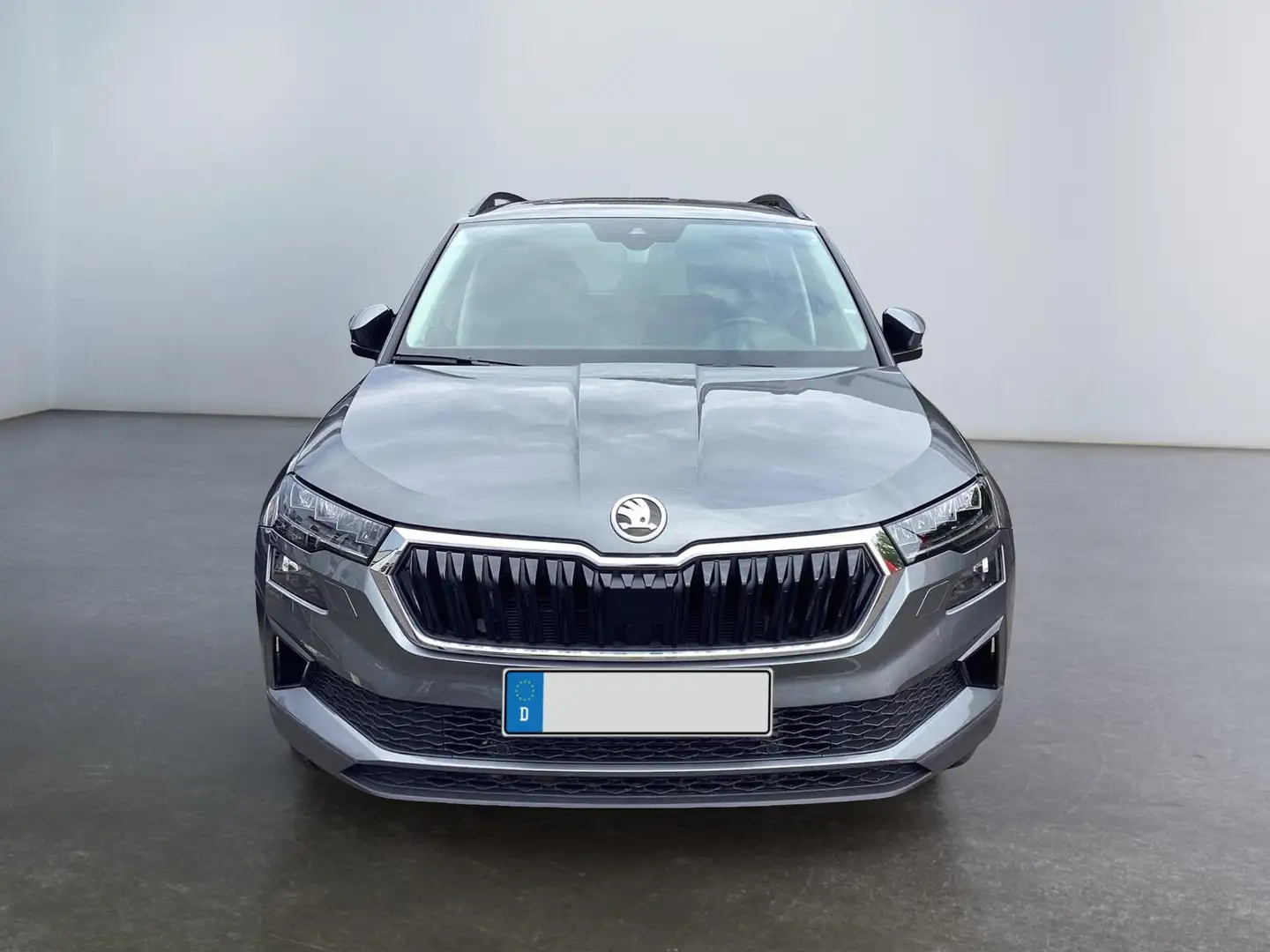 Skoda Karoq Sondermodell 130 Jahre 2.0l TDI DSG Grau - 1