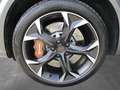 CUPRA Formentor VZ 2.0 TSI 4Drive DSG BREMBO !!! Gris - thumbnail 10