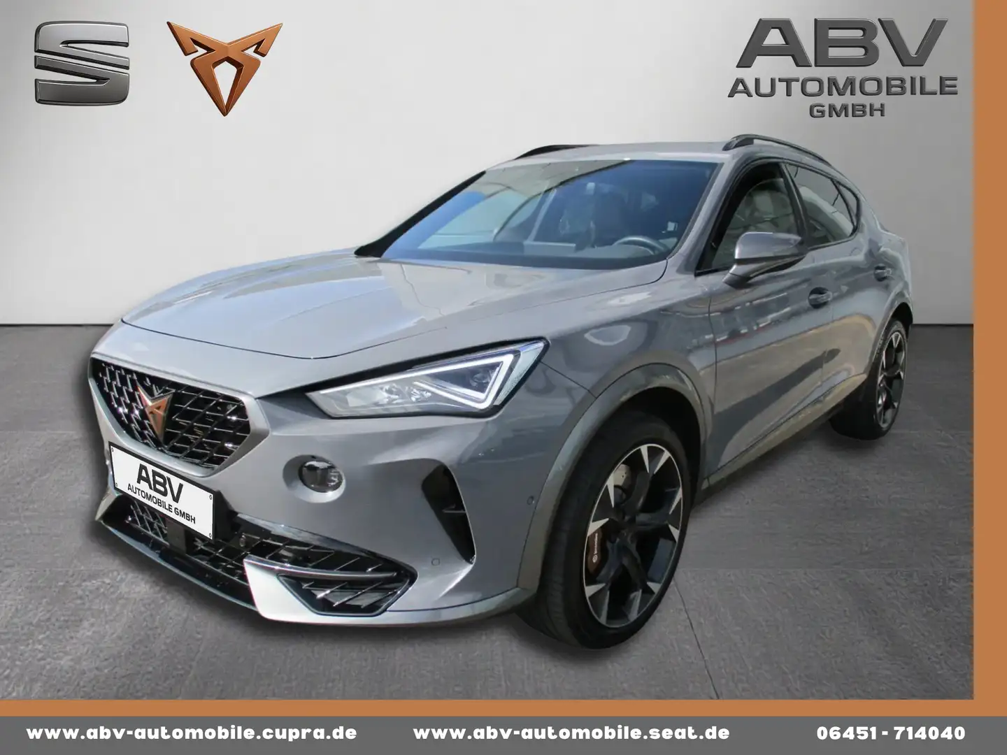 CUPRA Formentor VZ 2.0 TSI 4Drive DSG BREMBO !!! Gris - 1