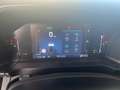 Ford Ranger Ranger Doppelkabine Wildtrak X e-4WD 2,0 EcoBlu... Grau - thumbnail 13
