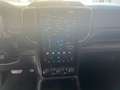 Ford Ranger Ranger Doppelkabine Wildtrak X e-4WD 2,0 EcoBlu... Grau - thumbnail 14