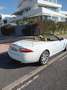 Jaguar XK XK Cabriolet 4.2 - 304 A - thumbnail 6