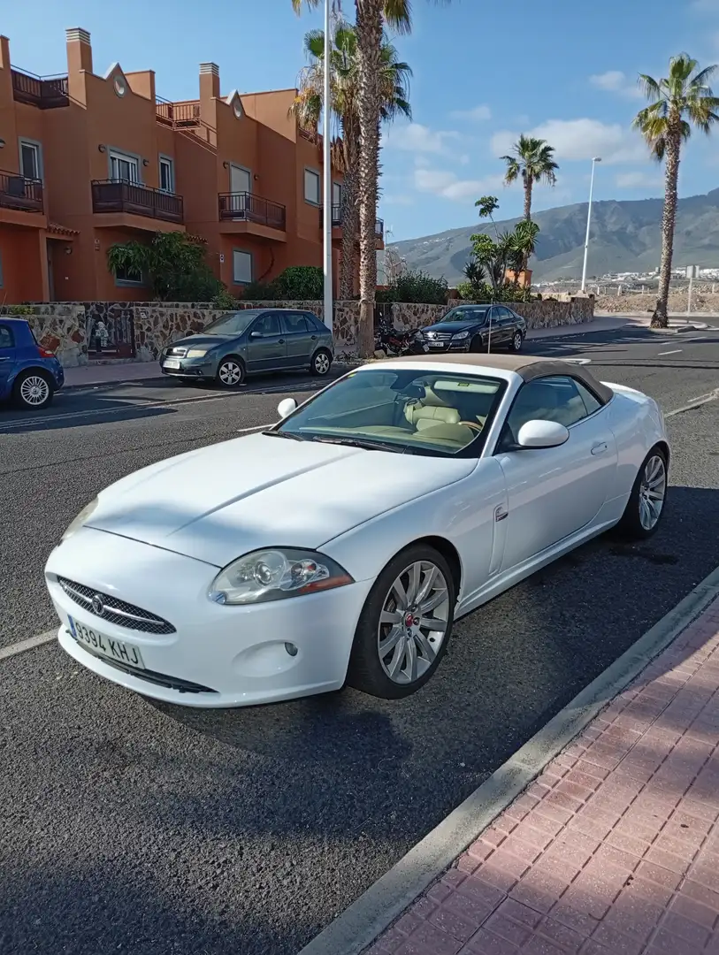 Jaguar XK XK Cabriolet 4.2 - 304 A - 1