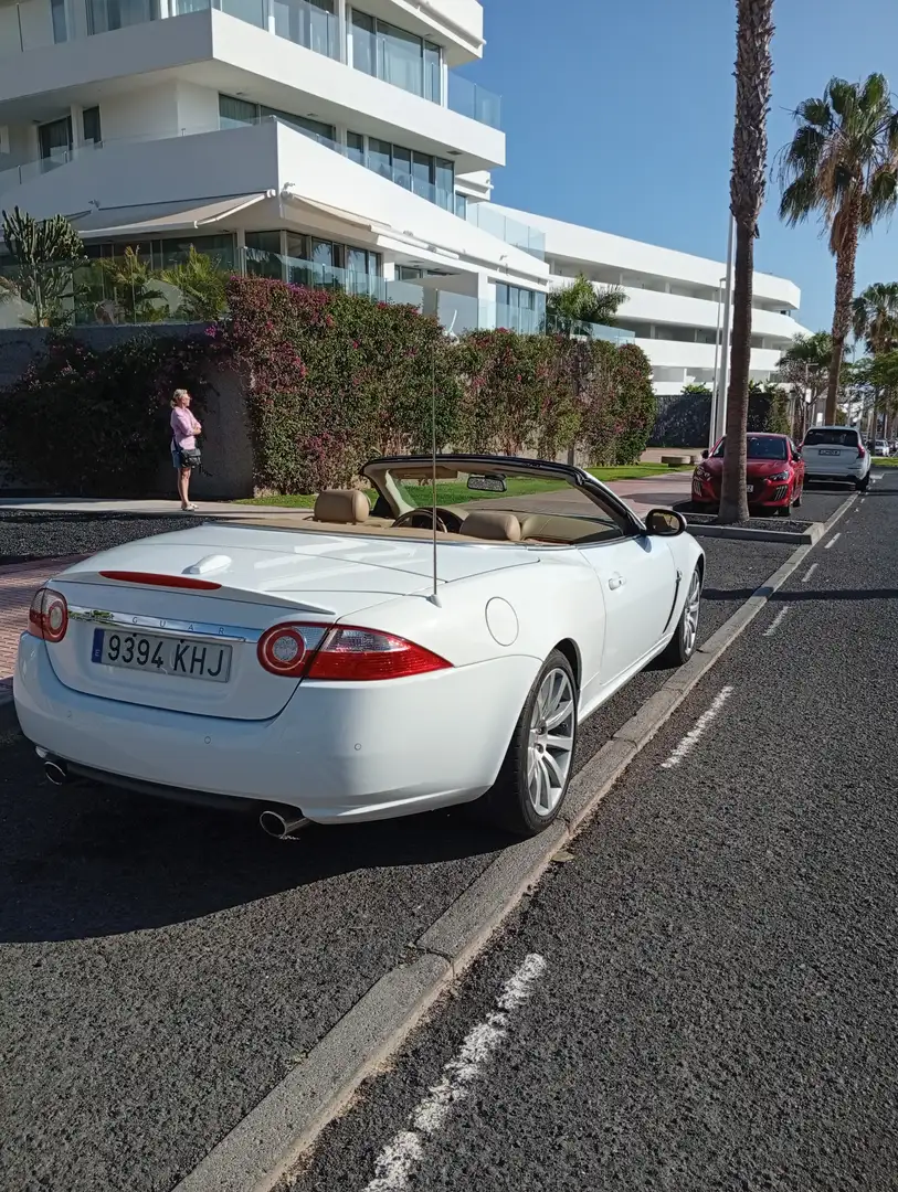 Jaguar XK XK Cabriolet 4.2 - 304 A - 2