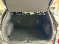 Ford Kuga ST-Line X 1.5 EcoBoost/ACC/PANO/NAVI/KAMERA Grau - thumbnail 11