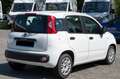 Fiat Panda 1.0 FireFly Hybrid Easy Wit - thumbnail 5