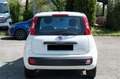Fiat Panda 1.0 FireFly Hybrid Easy Wit - thumbnail 7