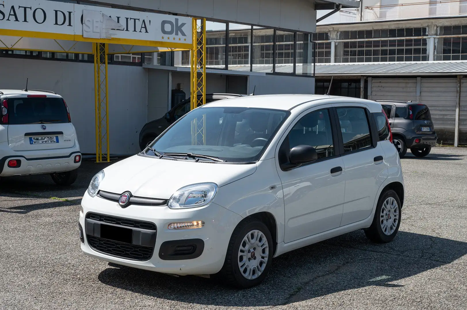 Fiat Panda 1.0 FireFly Hybrid Easy Bianco - 1