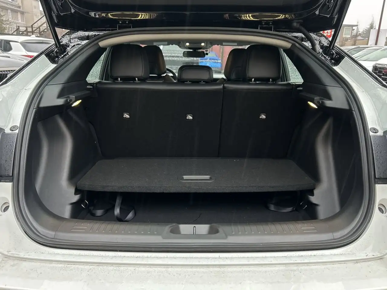 Nissan Leaf снимка Nissan Leaf