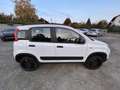 Fiat Panda Wild 4x4 Allrad Klima 1 Besitz Getriebeschaden Weiß - thumbnail 4