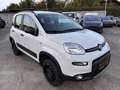 Fiat Panda Wild 4x4 Allrad Klima 1 Besitz Getriebeschaden Weiß - thumbnail 3