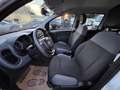 Fiat Panda Wild 4x4 Allrad Klima 1 Besitz Getriebeschaden Weiß - thumbnail 9
