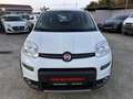 Fiat Panda Wild 4x4 Allrad Klima 1 Besitz Getriebeschaden Weiß - thumbnail 2