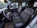Fiat Panda Wild 4x4 Allrad Klima 1 Besitz Getriebeschaden Weiß - thumbnail 12