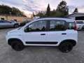 Fiat Panda Wild 4x4 Allrad Klima 1 Besitz Getriebeschaden Weiß - thumbnail 8