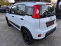 Fiat Panda Wild 4x4 Allrad Klima 1 Besitz Getriebeschaden Weiß - thumbnail 7