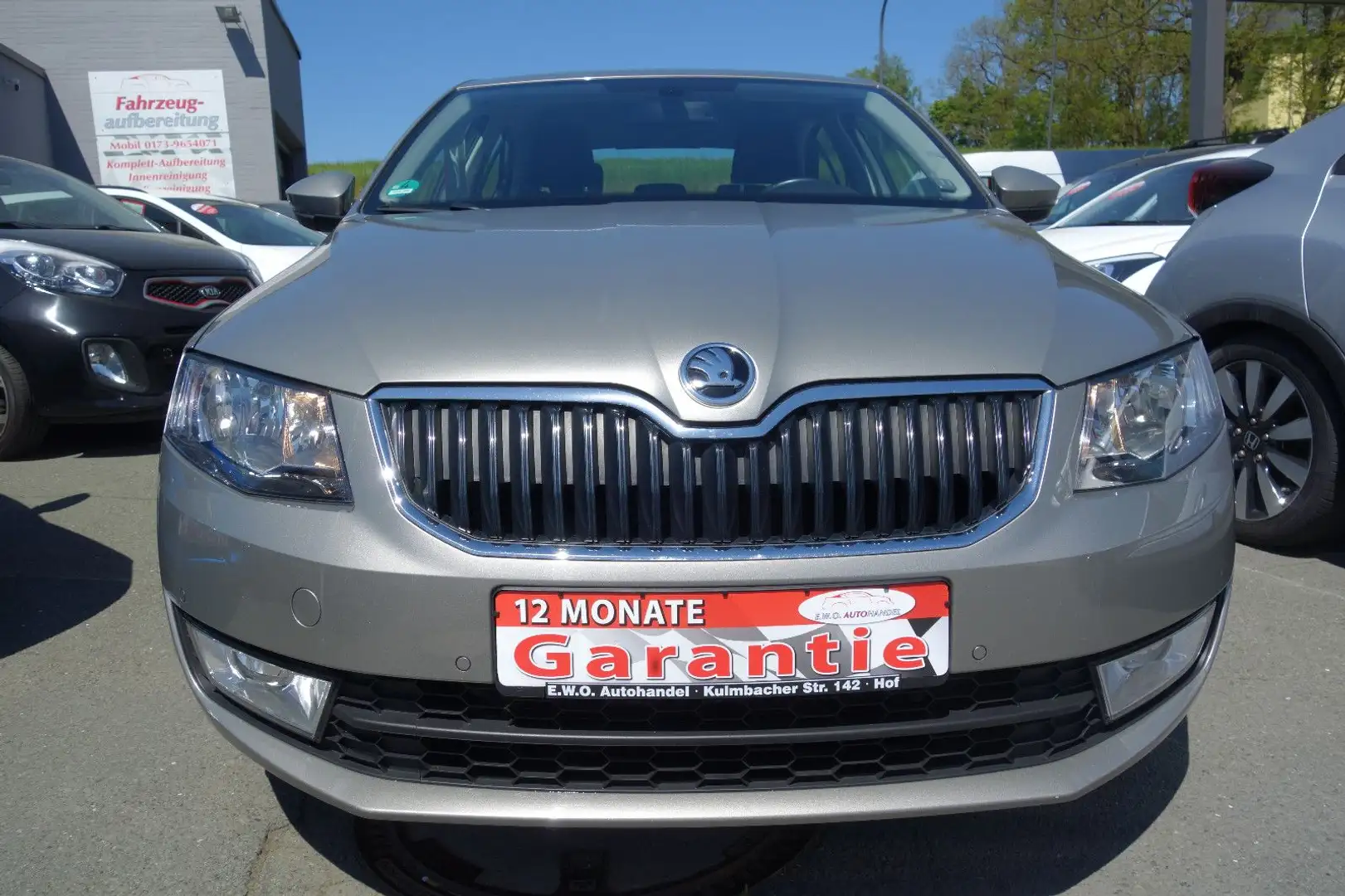 Skoda Octavia Lim. Style Benzin/Erdgas Beige - 2