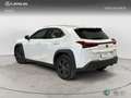 Lexus UX 300h + 4x2 + Blanc - thumbnail 2