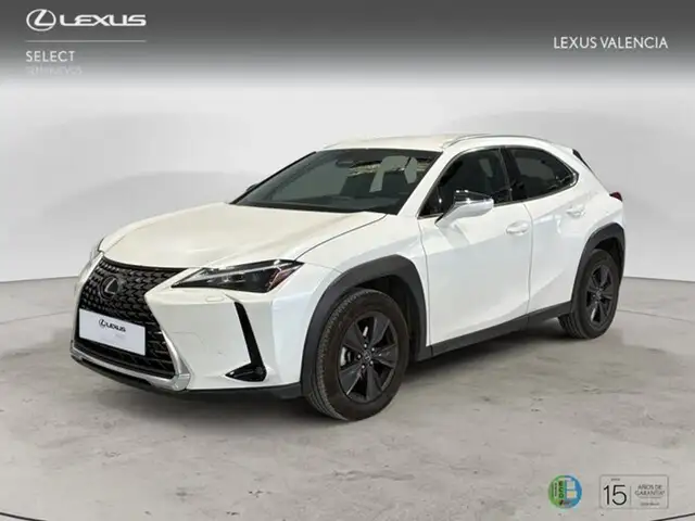 Lexus UX 300h + 4x2 +